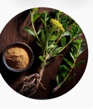 WhatsApp-Image-2025-02-12-at-7.17.14-PM-1-r1dgawmlf3e99nbvqffcrwmeibwhivy9cux6k31x2k