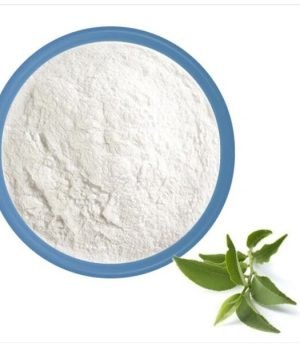 WhatsApp-Image-2025-02-12-at-7.17.14-PM-r1dgawmlf3e99nbvqffcrwmeibwhivy9cux6k31x2k