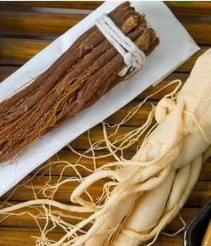 WhatsApp-Image-2025-02-12-at-7.17.15-PM-3-r1dgaqzka36jbzk2nczlcy1my0oa8pbvc309ofaa3w