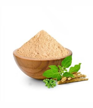 WhatsApp-Image-2025-02-12-at-7.17.15-PM-r1dgauqx1fbomfem1em3mx3hbk5r3hqsolm7lj4pf0