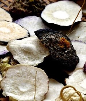 WhatsApp-Image-2025-02-12-at-7.17.16-PM-r1dgap3vwf3yormsyc6c7yipr8xjtb4entpapvd2gc